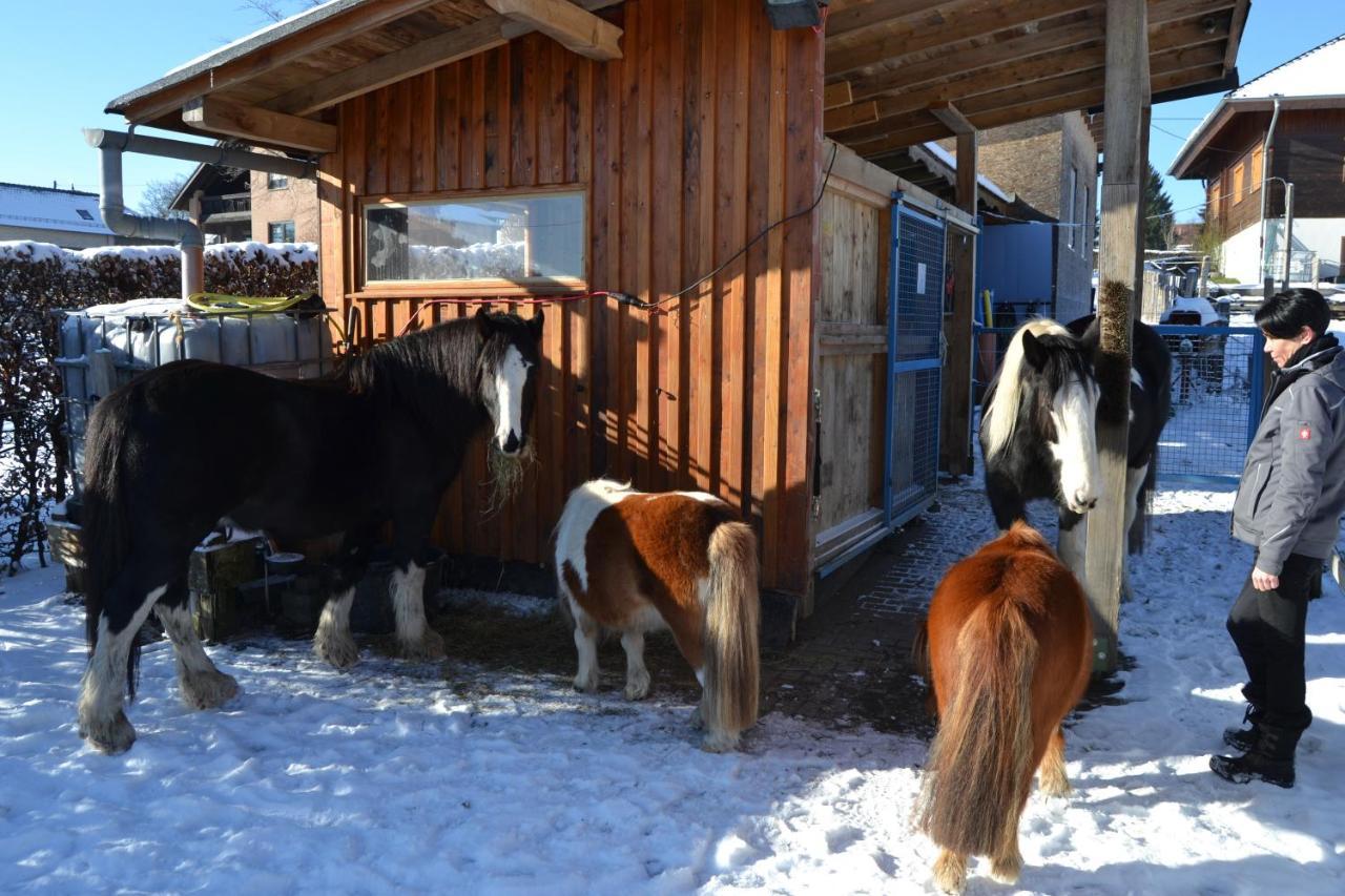 Appartamento Ferien Bei Freunden Im Holzhaus Monschau Esterno foto